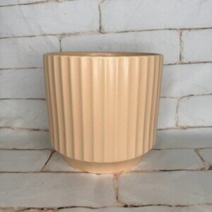 Jungle Club “Monroe” Planter – Vanilla | 6.75”